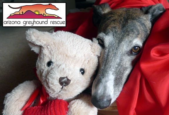 Arizona Greyhound Rescue